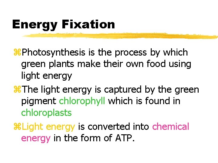 Energy Fixation z. Photosynthesis is the process by which green plants make their own