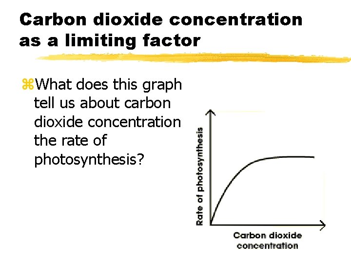 Carbon dioxide concentration as a limiting factor z. What does this graph tell us