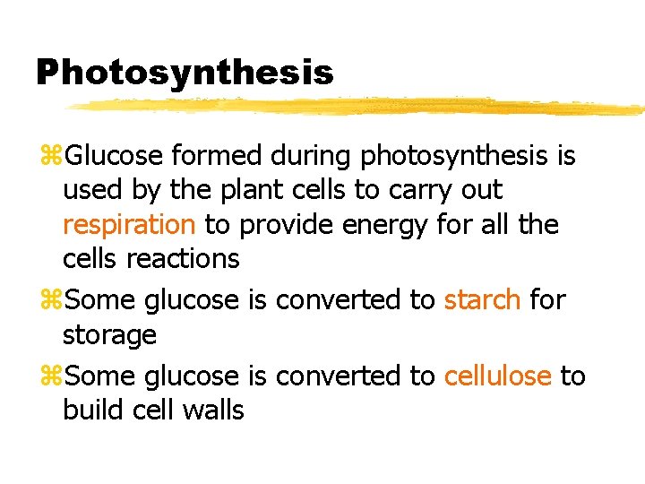 Photosynthesis z. Glucose formed during photosynthesis is used by the plant cells to carry