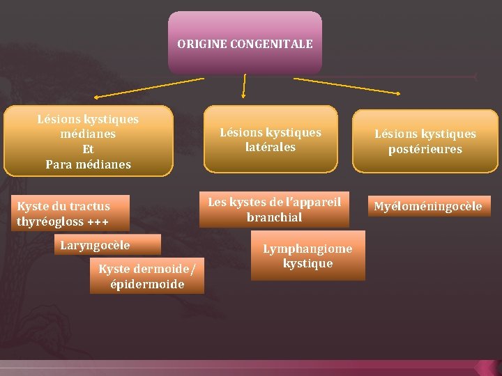 ORIGINE CONGENITALE Lésions kystiques médianes Et Para médianes Kyste du tractus thyréogloss +++ Laryngocèle