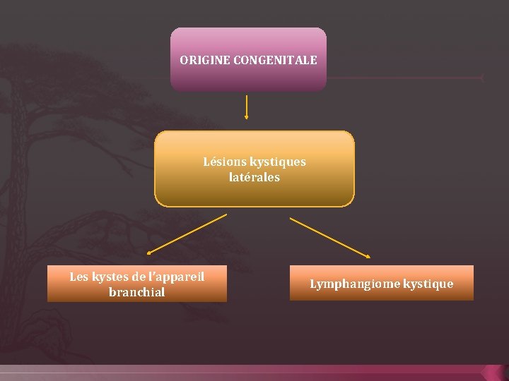 ORIGINE CONGENITALE Lésions kystiques latérales Les kystes de l’appareil branchial Lymphangiome kystique 