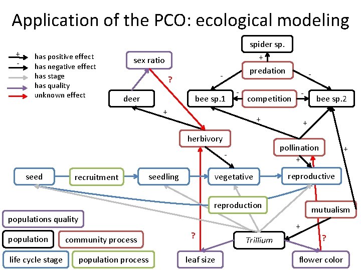 Application of the PCO: ecological modeling + - has positive effect has negative effect