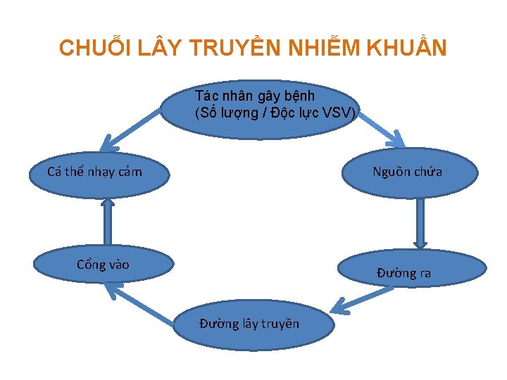 CHUỖI L Y TRUYỀN NHIỄM KHUẨN Tác nhân gây bệnh (Số lượng / Độc