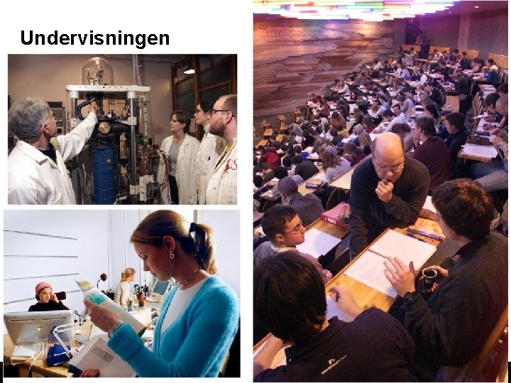 Undervisningen www. ntnu. no Undervisningen www. ntnu. no