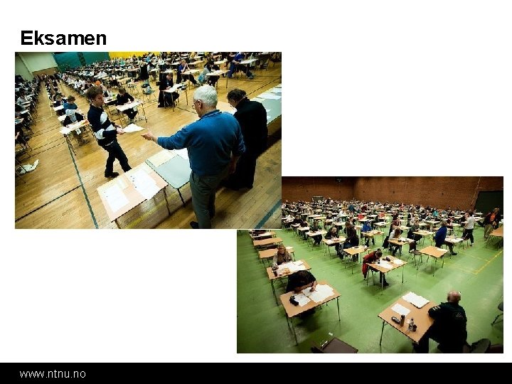Eksamen www. ntnu. no Eksamen www. ntnu. no