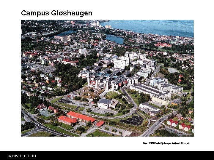 Campus Gløshaugen Foto: NTNU info/Fjellanger Widerøe Foto AS www. ntnu. no Campus Gløshaugen Foto: NTNU info/Fjellanger Widerøe Foto AS www. ntnu. no