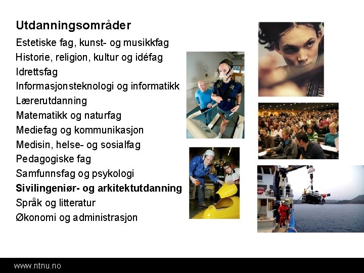 Utdanningsområder Estetiske fag, kunst- og musikkfag Historie, religion, kultur og idéfag Idrettsfag Informasjonsteknologi og Utdanningsområder Estetiske fag, kunst- og musikkfag Historie, religion, kultur og idéfag Idrettsfag Informasjonsteknologi og
