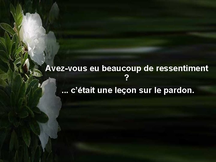 Avez-vous eu beaucoup de ressentiment ? . . . c’était une leçon sur le