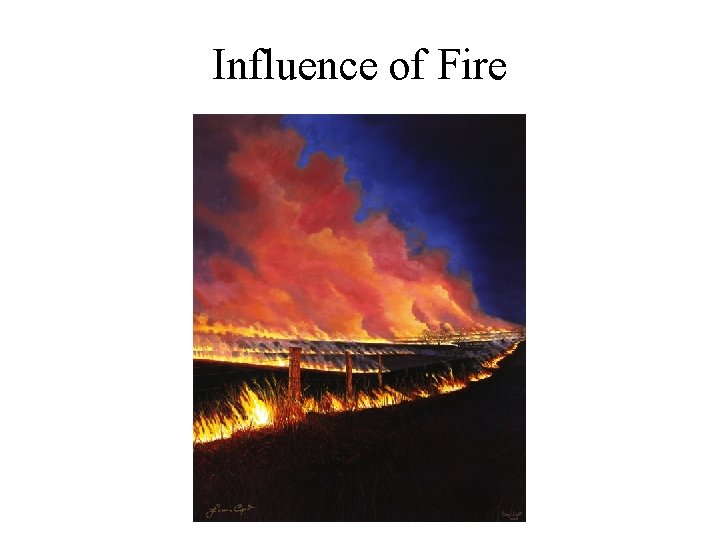 Influence of Fire 