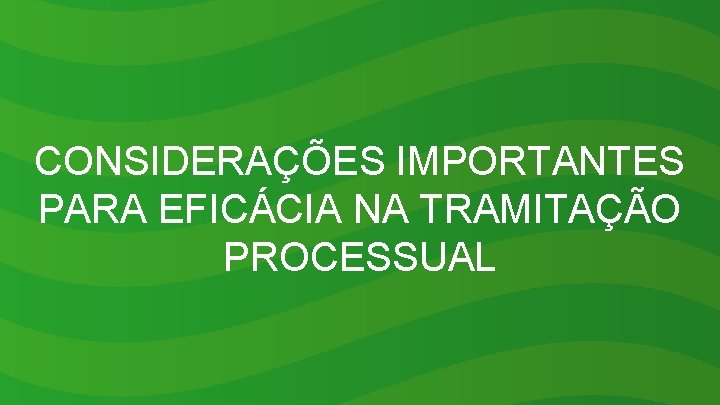 CONSIDERAÇÕES IMPORTANTES PARA EFICÁCIA NA TRAMITAÇÃO PROCESSUAL 