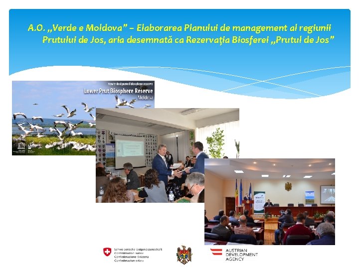 A. O. „Verde e Moldova” – Elaborarea Planului de management al regiunii Prutului de
