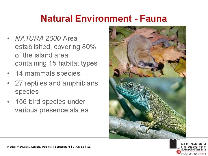 Natural Environment - Fauna • NATURA 2000 Area established, covering 80% of the island