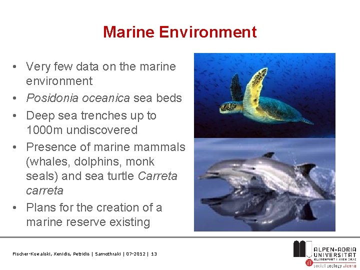 Marine Environment • Very few data on the marine environment • Posidonia oceanica sea