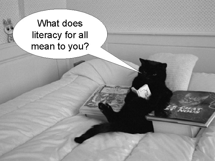 Ice What does literacy for all mean to you? Breaker 