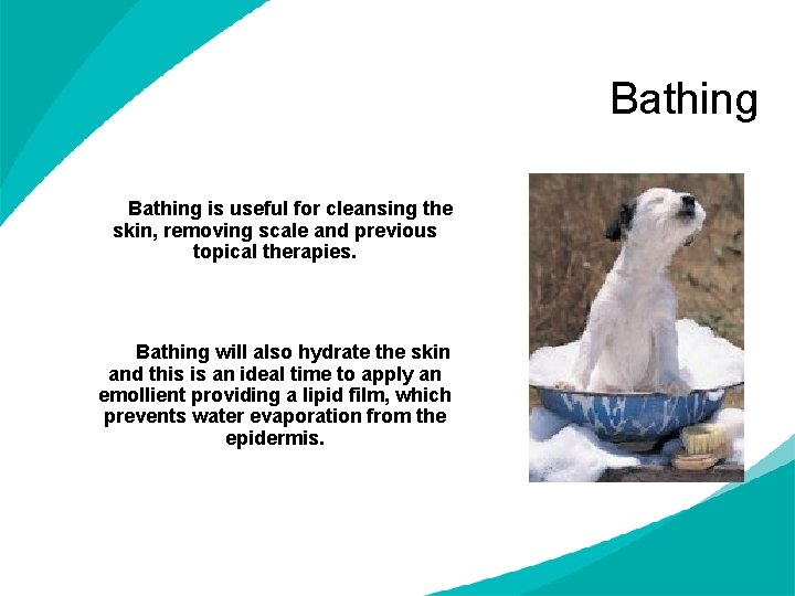 Bathing is useful for cleansing the skin, removing scale and previous topical therapies. Bathing