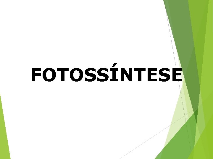 FOTOSSÍNTESE 