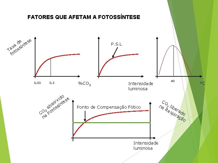 FATORES QUE AFETAM A FOTOSSÍNTESE e de tes xa sín Ta tos fo P.