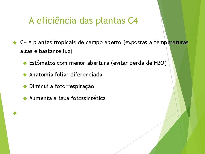 A eficiência das plantas C 4 = plantas tropicais de campo aberto (expostas a