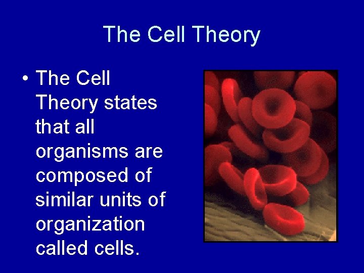 The Cell Theory • The Cell Theory states that all organisms are composed of