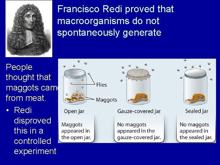 Francisco Redi proved that macroorganisms do not spontaneously generate People thought that maggots came