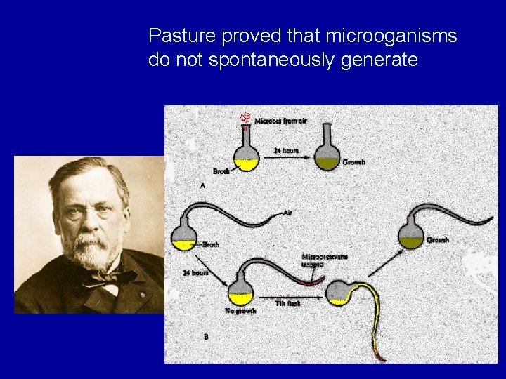 Pasture proved that microoganisms do not spontaneously generate 