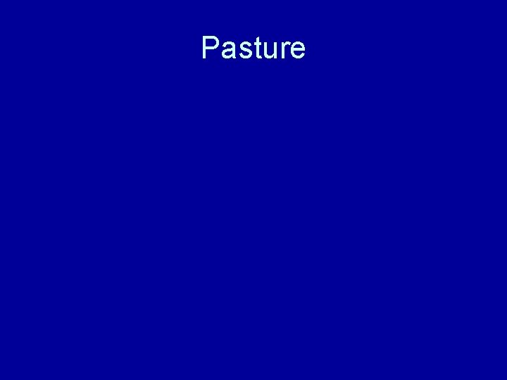 Pasture 