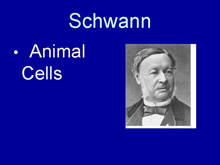 Schwann • Animal Cells 