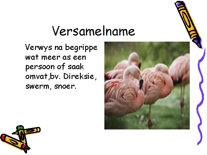 Versamelname Verwys na begrippe wat meer as een persoon of saak omvat, bv. Direksie,