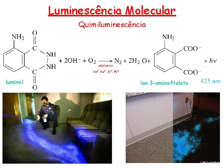 Luminescência Molecular Quimiluminescência luminol íon 3 -aminoftalato 