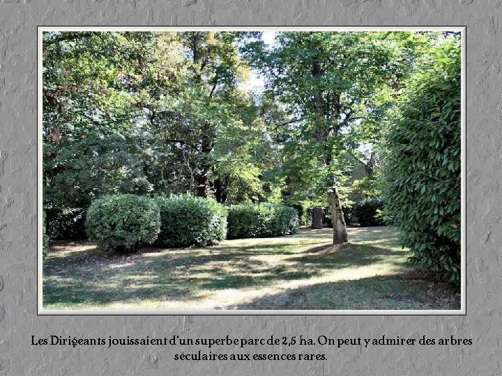 Les Dirigeants jouissaient d’un superbe parc de 2, 5 ha. On peut y admirer Les Dirigeants jouissaient d’un superbe parc de 2, 5 ha. On peut y admirer