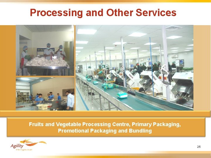 Processing and Other Services Fruits and Vegetable Processing Centre, Primary Packaging, Promotional Packaging and