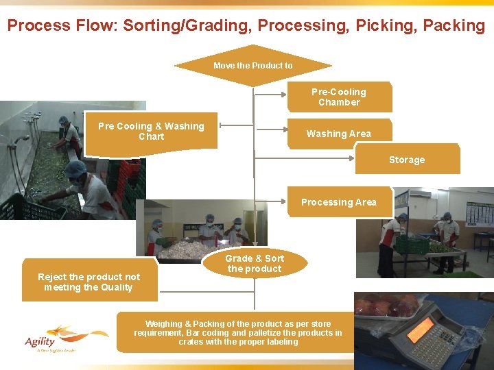 Process Flow: Sorting/Grading, Processing, Picking, Packing Move the Product to Pre-Cooling Chamber Pre Cooling