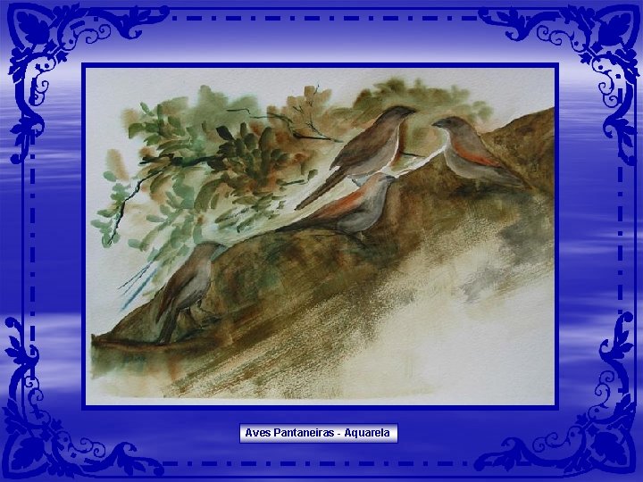 Aves Pantaneiras - Aquarela Aves Pantaneiras - Aquarela