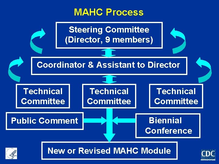 MAHC Process Steering Committee (Director, 9 members) Coordinator & Assistant to Director Technical Committee