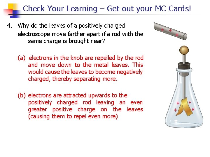 Check Your Learning – Get out your MC Cards! 4. Why do the leaves