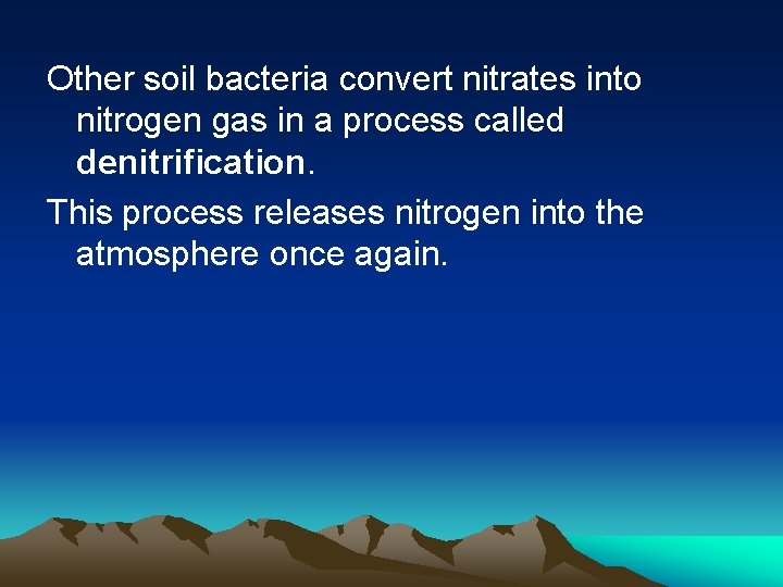 Other soil bacteria convert nitrates into nitrogen gas in a process called denitrification. This