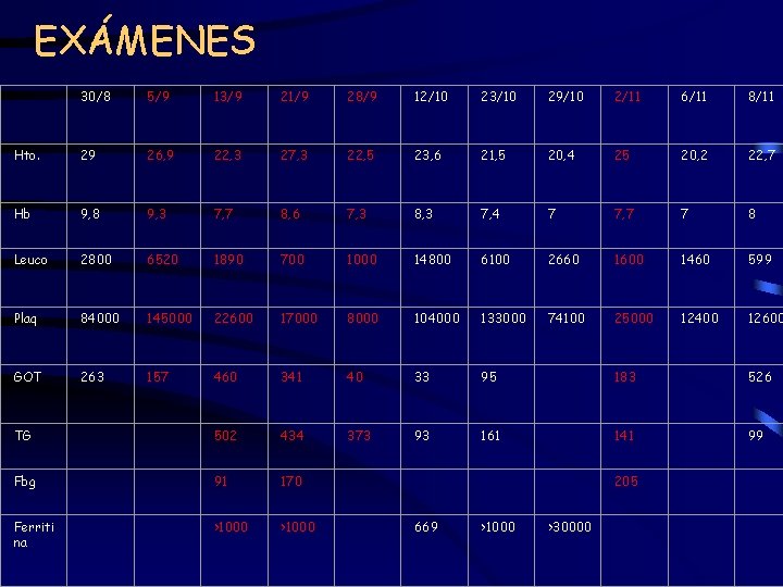 EXÁMENES 30/8 5/9 13/9 21/9 28/9 12/10 23/10 29/10 2/11 6/11 8/11 Hto. 29