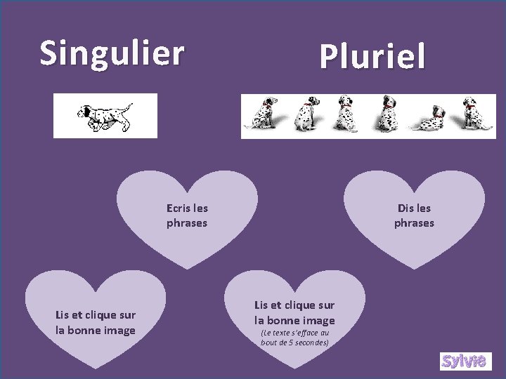 Singulier Pluriel Ecris les phrases Lis et clique sur la bonne image Dis les
