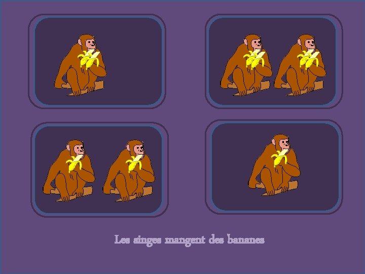 Les singes mangent des bananes 