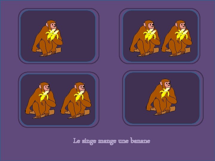 Le singe mange une banane 
