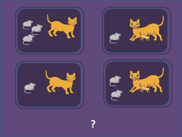Les souris regardent le chat ? 