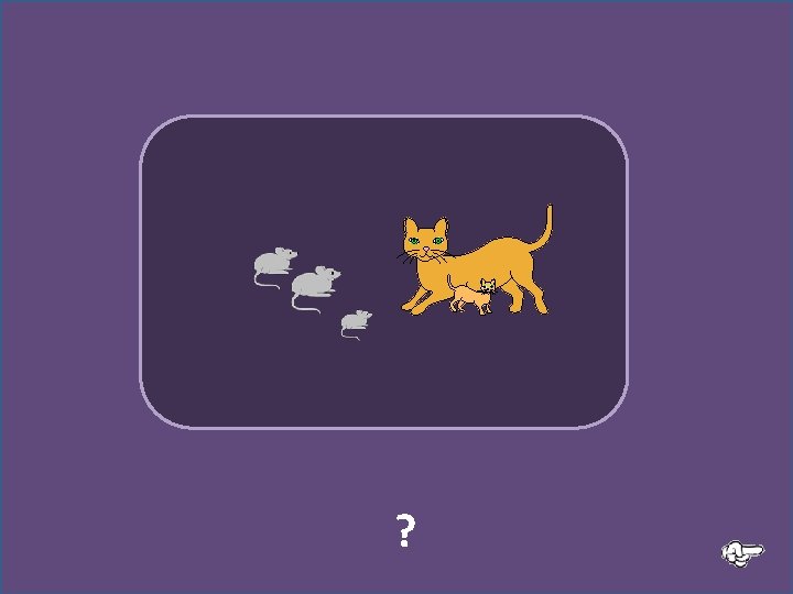 ? Les souris regardent les chats 