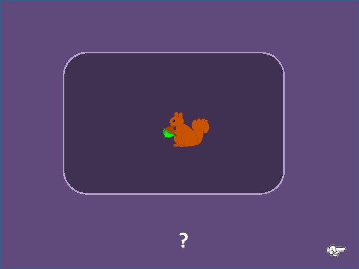 ? L’ écureuil mange une noisette 