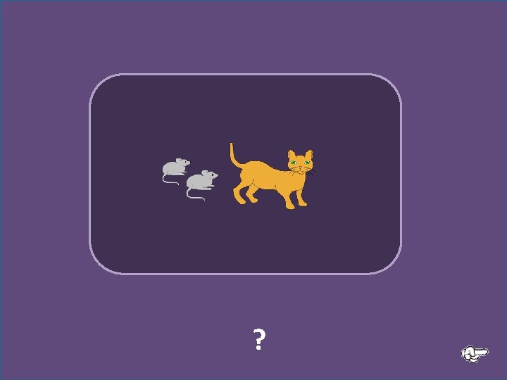 ? Les souris regardent le chat 