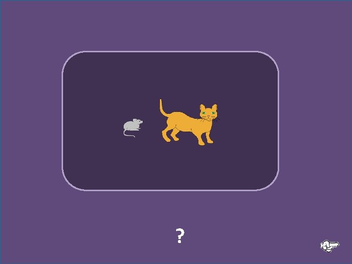 ? La souris regarde le chat 