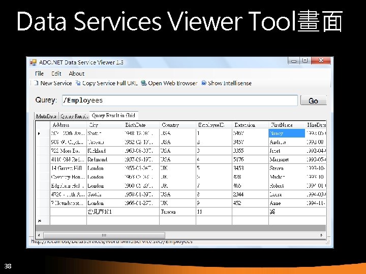 Data Services Viewer Tool畫面 38 