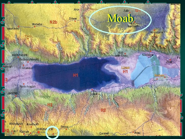 Moab Dead Sea 