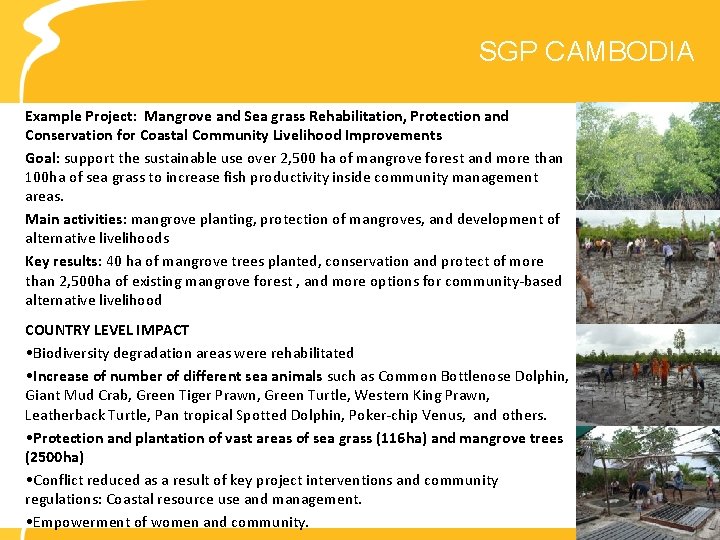SGP CAMBODIA Example Project: Mangrove and Sea grass Rehabilitation, Protection and Conservation for Coastal