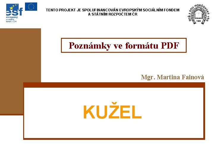 TENTO PROJEKT JE SPOLUFINANCOVÁN EVROPSKÝM SOCIÁLNÍM FONDEM A STÁTNÍM ROZPOČTEM ČR Poznámky ve formátu