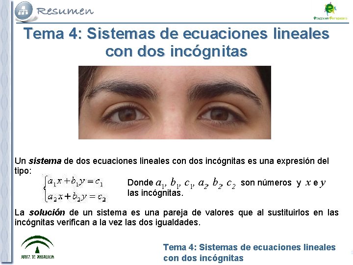 Tema 4: Sistemas de ecuaciones lineales con dos incógnitas Un sistema de dos ecuaciones